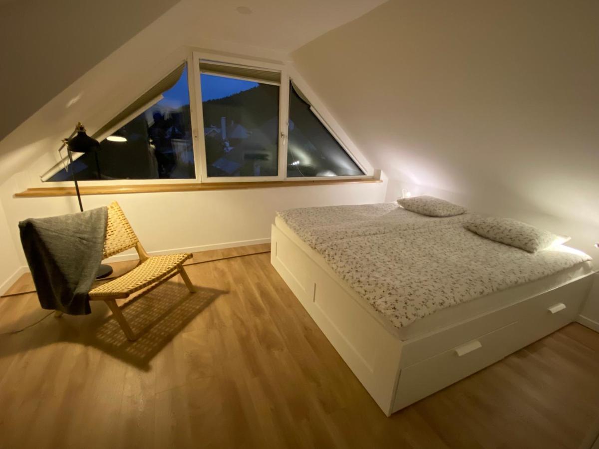 Apartment Zidana Marela - Attic With A View ครานสกา โกรา ภายนอก รูปภาพ