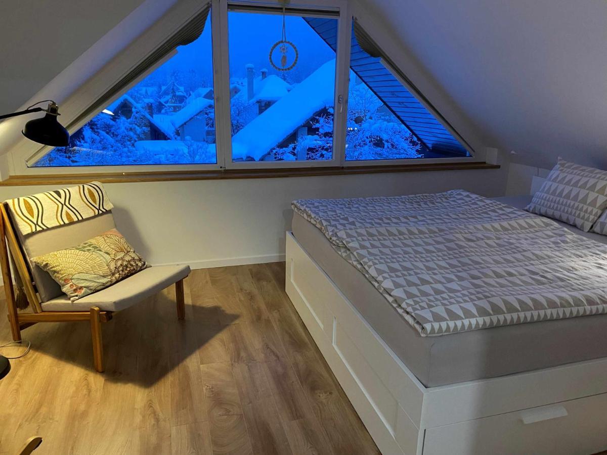 Apartment Zidana Marela - Attic With A View ครานสกา โกรา ภายนอก รูปภาพ