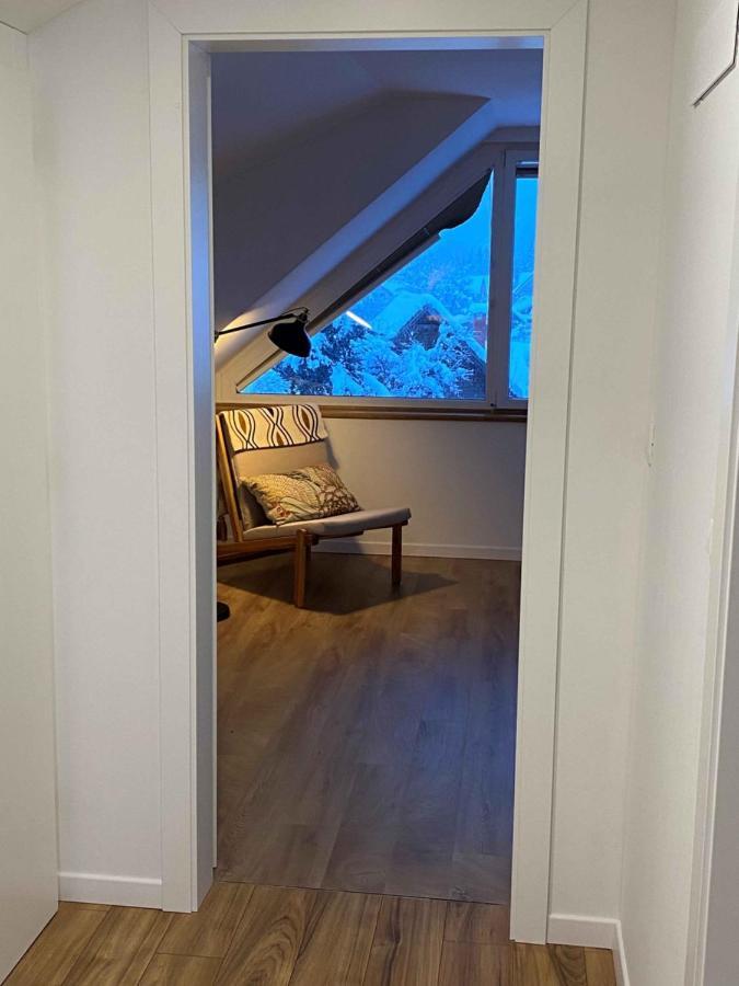 Apartment Zidana Marela - Attic With A View ครานสกา โกรา ภายนอก รูปภาพ