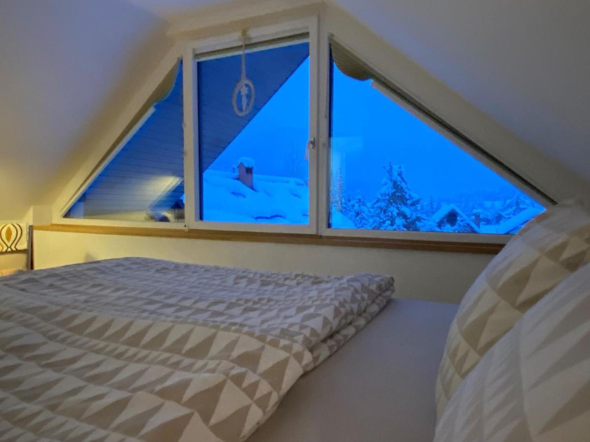 Apartment Zidana Marela - Attic With A View ครานสกา โกรา ภายนอก รูปภาพ